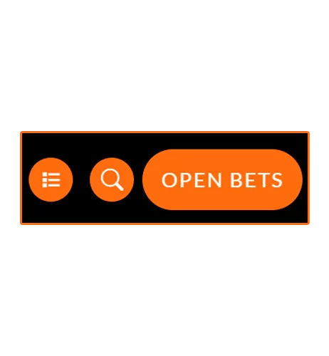 History of bets placed.